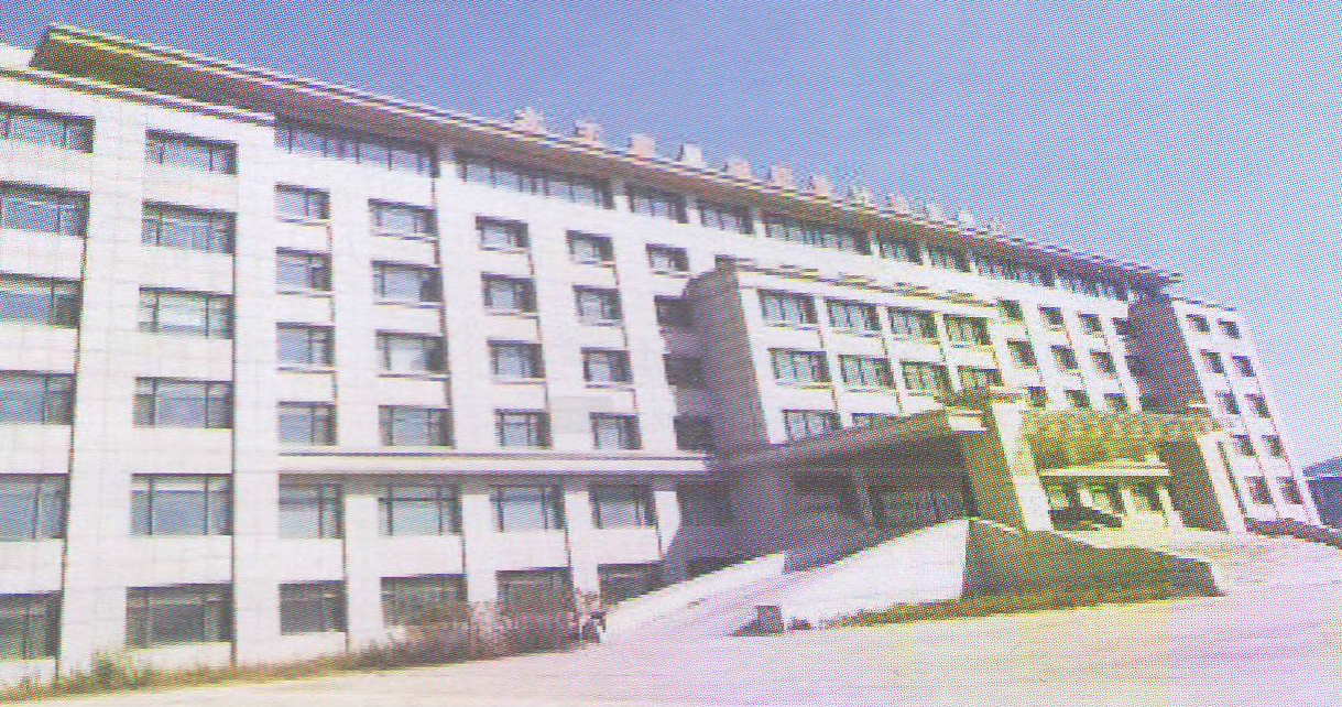 柳河木王家具集团有限公司债权情况			