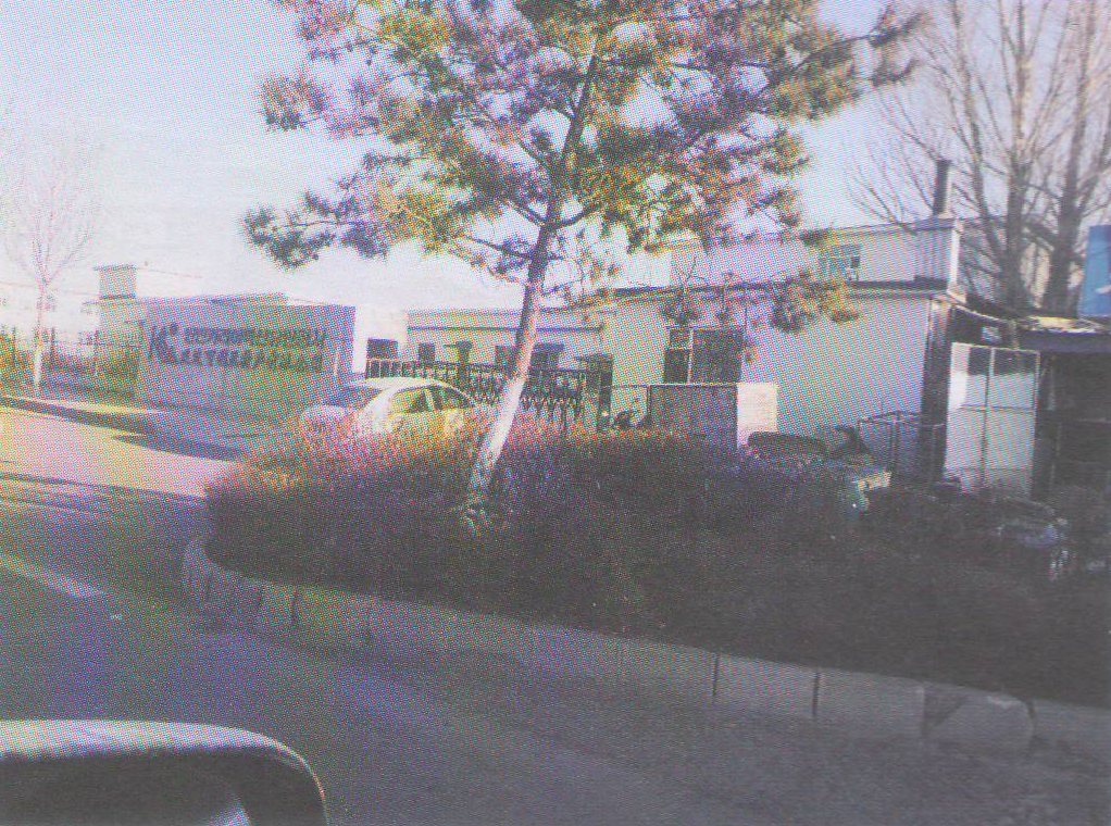 延边可利亚特产有限公司企业债权情况	