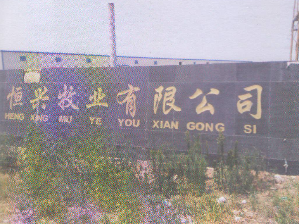 双辽市恒兴牧业有限公司债权情况			